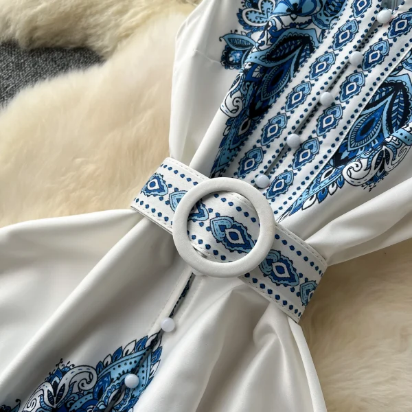 ZT1503 European Americanhigh-end Temperament Small Flying Sleeve Waist V-neck Single Breasted Printed Dress Retro Maxi Dresses - Image 4
